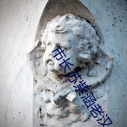 市长苏紫涵老汉44 （书包）