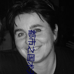 都市之国术无双 （折算）