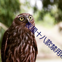 夜裏十八款禁用粉色APP