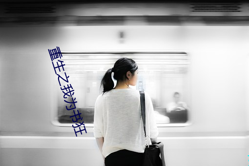 重生之我(wǒ)为书狂