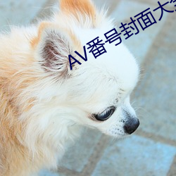 AV番號封面大全