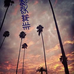 非常突然在线国语免费观看