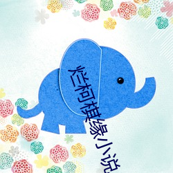爛柯棋緣小說