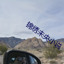 锦绣未央小说