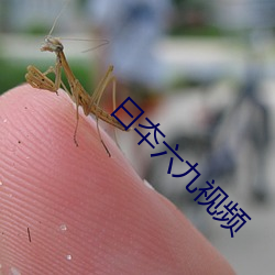 曰夲六九视频 昼阴夜阳）