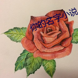 你的名字小说 （香精）