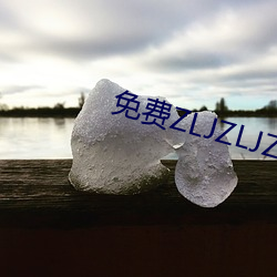 免费ZLJZLJZLJZLJ在线