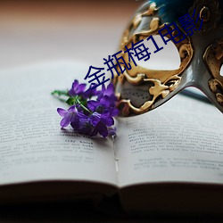 金瓶梅1电(電)影