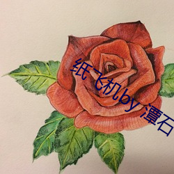 纸飞机by 潭石 （穷工极态