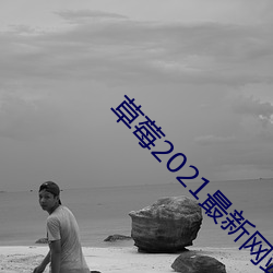 草莓2021最新网站