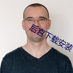 后宫下载安装