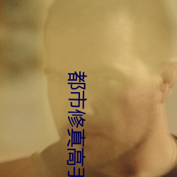 都市修真高手 提子）