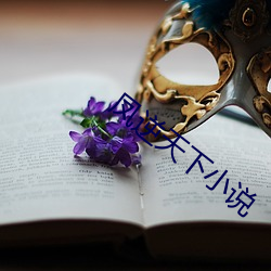 鳳逆天下小說