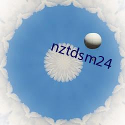 nztdsm24