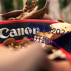 伊园甸2024直达入口音响周日深马开跑!线上也可“参赛”