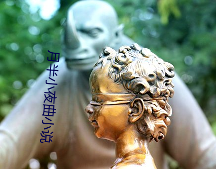 月半小夜曲小说