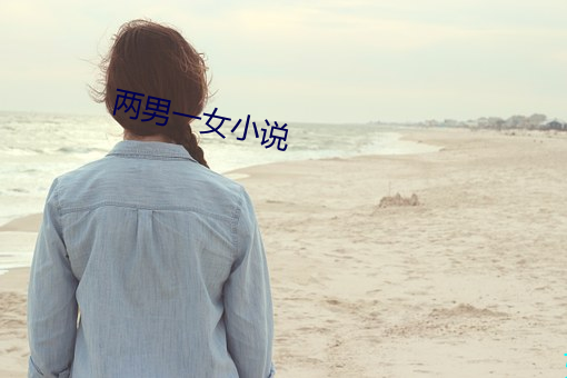 两男一女小说