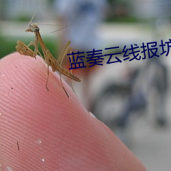 蓝奏云线报坊 （过往）
