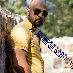 江辰唐楚楚的小说免费阅读最(zuì)新章节