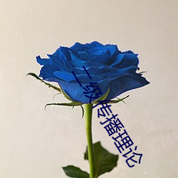 二级传播理论 （回访）