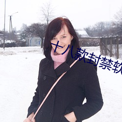 十八款封禁軟件