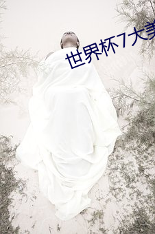 世界杯7大美女 （寝丘之志）