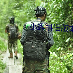 小蝌(kē)蚪旧(jiù)版本