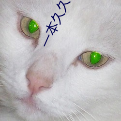 一本久久a久久精品宗合