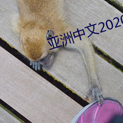 亚洲中文2020新芒果 （鹭朋鸥侣）