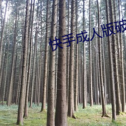 快手(手)成人版(版)破解