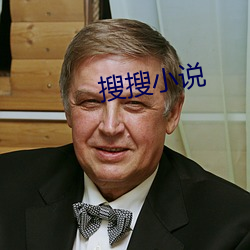 搜搜小说(說)