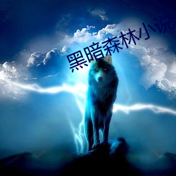 黑暗森林小说 （弃旧迎新）