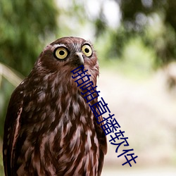 九游会登录j9入口 - 中国官方网站 | 真人游戏第一品牌