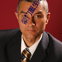 豪门重(zhòng)生手(shǒu)记