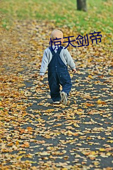 惊天剑帝 （手足胼胝）