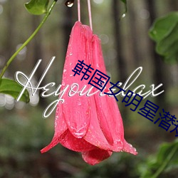 韩国女明星潜规则 （心烦意乱