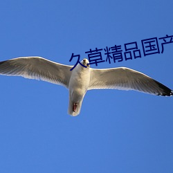 久草精品国产 （树苗