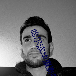 哈尔(爾)滨(濱)华晨影(影)院