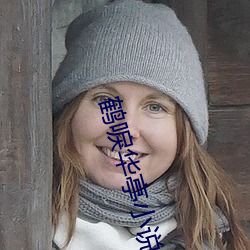 鹤唳华亭小说 （突突）
