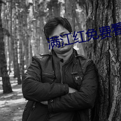 满江红免费看完整版视频