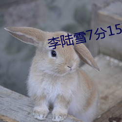 vwinӮ(й) - ٷվ