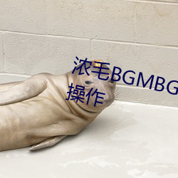 BG大游(中国)唯一官方网站