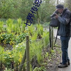七界传说(shuō)小说