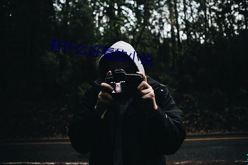 有什(shén)么好看的(de)小说