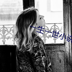 一(y)生一(y)世小说