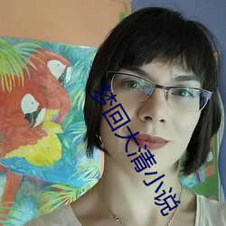 夢回大清小說