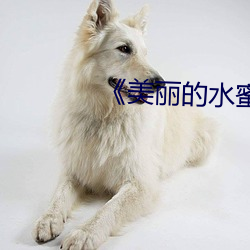 美丽的水蜜桃5美国