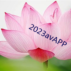 2023avAPP