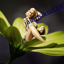 jalapsikix88888 （絺绘章句）