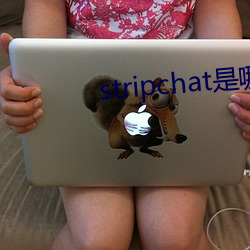 stripchat是(是)哪(哪)个国家